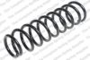 LESJ?FORS 4259251 Coil Spring